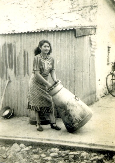 Madge Ahern (nee Coleman) from Dromin washing a churn after the delivery of milk to the creamery in the 1950s. Nowadays, milk is collected from dairy farms