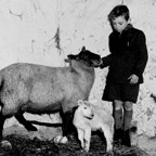 Jerome O’Callaghan admiring a newly born lamb on the family farm at Vicarstown in November 1955.jpg