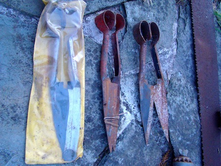 Shears collection