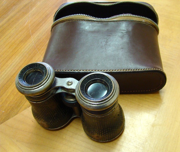 Binoculars and Case