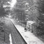 Healy's Bridge Station